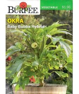 GIB Okra Baby Bubba Hybrid Vegetable Seeds Burpee  - £7.07 GBP