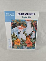 TROPICAL TRIO Pomegranate by Galchutt, David 1000 pc Art Puzzle Complete - £14.81 GBP