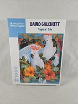 TROPICAL TRIO Pomegranate by Galchutt, David 1000 pc Art Puzzle Complete - $18.69