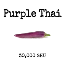 Purple Thai Pepper - 20 Seeds - Exotic Purple Pods - £2.34 GBP