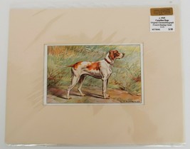 Vtg French F. Castellan book illustration print dogs &quot;Le Braque Saint Germain&quot; - £15.63 GBP