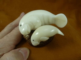 TNE-MAN-708A white Manatee mama + baby sea cow TAGUA NUT figurine carvin... - $41.37