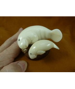 TNE-MAN-708A white Manatee mama + baby sea cow TAGUA NUT figurine carvin... - £32.43 GBP