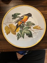 Songbirds of Roger Tory Peterson Baltimore Oriole Bird Limoges Plate 1981 - £11.67 GBP