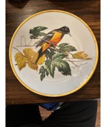 Songbirds of Roger Tory Peterson Baltimore Oriole Bird Limoges Plate 1981 - £11.63 GBP