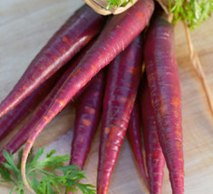 Carrot Cosmic Purple 100+ Organic Seeds Heirloom Open Pollinated - £6.24 GBP
