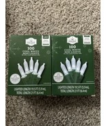 Clear Mini LED Light String 100 Count Christmas Cool White GREEN Wire We... - $498.26 MXN