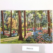 Vintage Jacksonville Florida Linen Postcard Hydrangea Time Oriental Gard... - $244.64 MXN