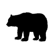 Grizzly Bear Wall Decal - 28&quot; tall x 39&quot; wide - $41.00