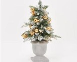 Martha Stewart 24&quot; Flocked Globe Light Tabletop Urn Christmas Holiday Tree - £104.36 GBP