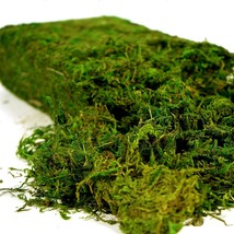 Usmola Artificial Fake Moss, 8 Oz. Craft Moss For Centerpieces For, Fres... - £35.36 GBP