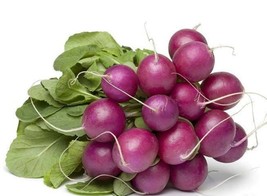 Purple Plum Radish Seeds One Gram Fresh Garden USA SELLER - $12.25