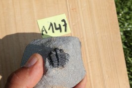 Item image 15