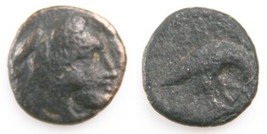 381-369 BC Macédonien Royaume AE16 Pièce (VF) Amyntas III Aigle &amp; Serpent - $2,561.82 MXN