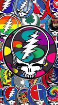 Grateful Dead METAL PRINT  12X8IN INCHES SUBLIMATION PORTRAIT SIGN BEARS 26 - €21,39 EUR