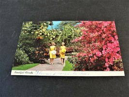 Tropical Garden, Sarasota, Florida - Postmarked Postcard. - £5.99 GBP