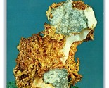 Lot of 11 Rock Crystal Geology Fossil Specimen UNP Chrome Postcards #1 U6 - £7.36 GBP