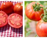250mg Packet=66 Seeds Tomato Seeds - Slicing - Ponderosa Red - £14.89 GBP
