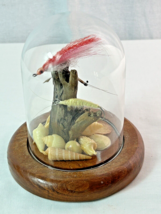 Saltwater Fly Fishing Flies in Glass Dome Display w/ Sea Shells &amp; Driftw... - £15.52 GBP