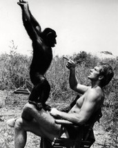 Ron Ely on set Tarzan 1966 seated in chair with Cheetah 18x24 poster - £23.58 GBP