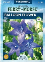 SKMO Balloon Flower Blue Flower Seeds Ferry Morse  - £7.05 GBP