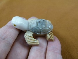 Y-TUR-SET-50 little white gray SEA TURTLE figurine stone gemstone SOAPST... - $8.59