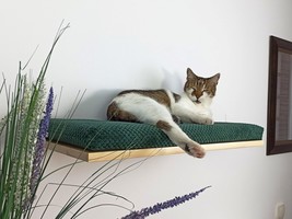 Wood Base Cat Wall Shelf FLAT 60 cm 16 inch for light, plasterboard wall - £151.35 GBP