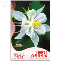 White Columbines Aquilegia Seeds Balcony Bonsai Plant Flowers Seeds Pack 35 Seed - $5.36