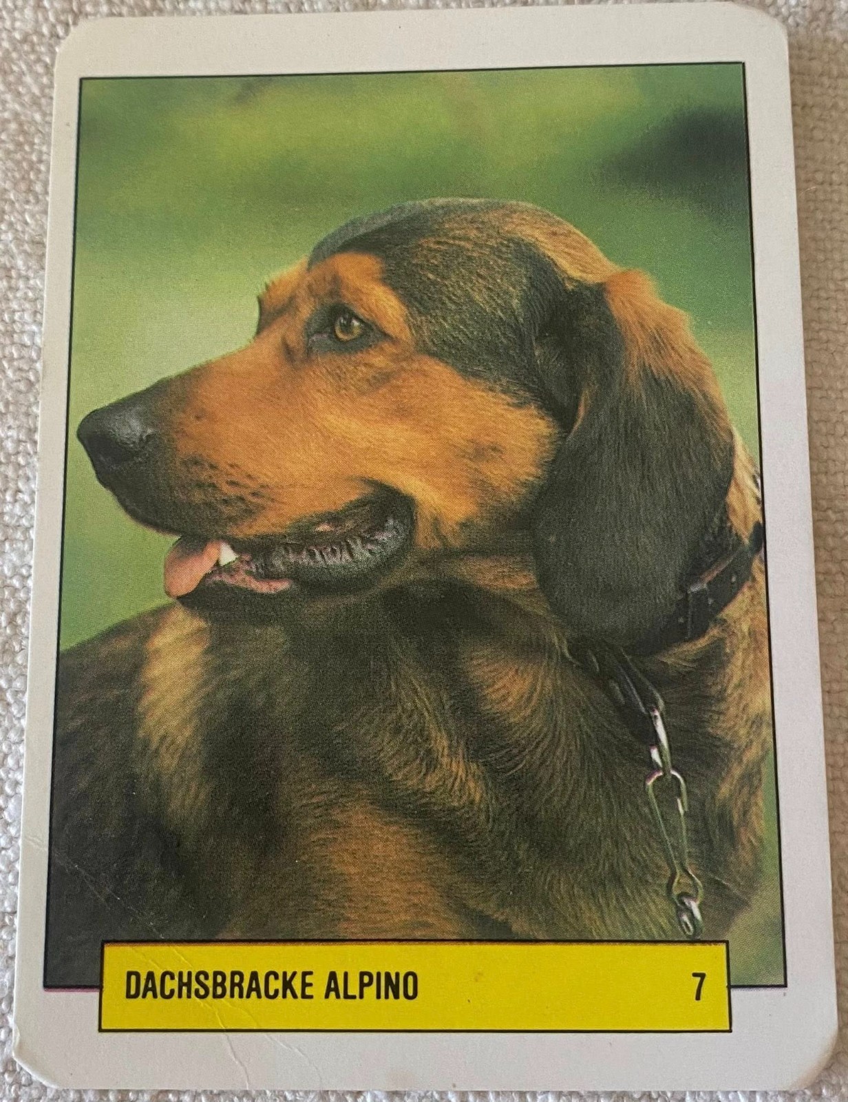 ⭕⭕VTG pocket calendar 1993 DOGS MANIL DACHSBRACKE ALPINO N7 - $4.46