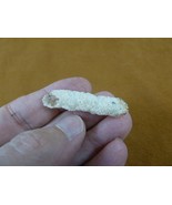 r365-1) 1-1/2&quot; Fulgurite lightning strike beach sand glass Georgia fulgu... - €12,98 EUR