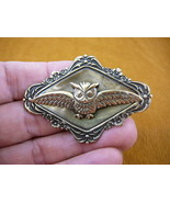 B-BIRD-403) Screech OWL flying wings night I love bird watching owls hoo... - €16,33 EUR