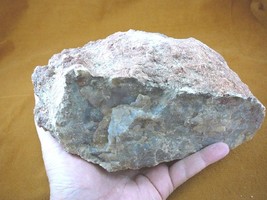 (DF846-12) 5 lb Fossil REAL DINOSAUR POOP Coprolite Dino Valley Utah DUN... - £72.62 GBP