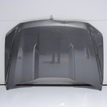 2021-2023 Ford F-150 Gray Front Hood Bonnet Shell Cover Panel ML3Z16612D... - $4,240.95 MXN