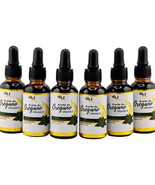Aceite de Oregano Organico 100% concentrado (6 Pack) - Organic Oregano O... - $1,007.84 MXN