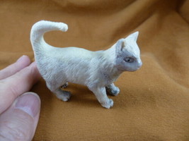 CAT-W19 little Cat kitten shed ANTLER figurine Bali detailed carving lov... - $93.96