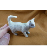 CAT-W19 little Cat kitten shed ANTLER figurine Bali detailed carving lov... - £73.88 GBP
