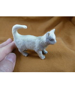 CAT-W19 little Cat kitten shed ANTLER figurine Bali detailed carving lov... - $129.03 CAD