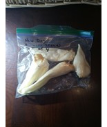 New Dog Rawhide Treats Set Of 4 - €9,21 EUR