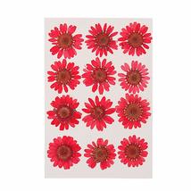 OMICE 12PCS/Bag Resin Crafts Makeup Pressed Daisy Dried Flower Jewelry Making Ar - £12.41 GBP