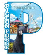 Pigeon Forge Black Bear  The Island Ferris Wheel Capital P Collage Fridg... - $8.99