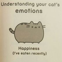 I Am Pusheen the Cat by Claire Belton Internet Viral Sensation Cartoon Book image 7