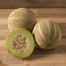 Rocky Ford Green Flesh Honey Dew Melon Seeds Fresh Seeds USA - $6.98