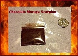 2.3 Grams Chocolate Moruga chili Powder sample spice World Record Hottest! Brown - £2.25 GBP