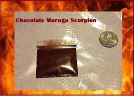 2.3 Grams Chocolate Moruga chili Powder sample spice World Record Hottest! Brown - £2.16 GBP