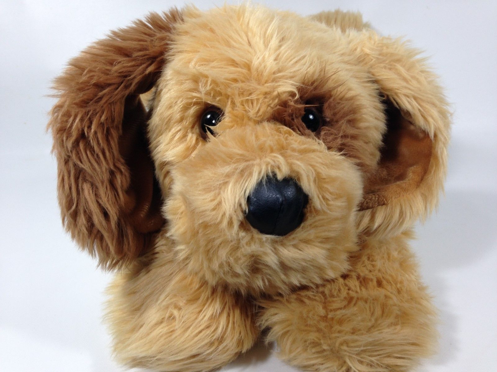 Animal alley darby hot sale dog