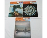 Lot Of (3) The Indians Panarizon Cards Nature Jewelry Travel B.C. - $8.90