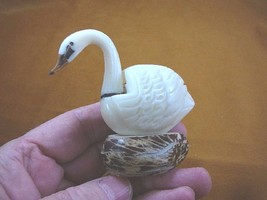 (TNE-BIR-SW-116a) white trumpeter Swan TAGUA NUT palm figurine carving s... - $26.02
