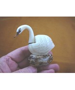 (TNE-BIR-SW-116a) white trumpeter Swan TAGUA NUT palm figurine carving s... - £20.46 GBP