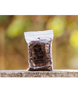 DrApis Raw Propolis 50g (1.7 oz), direct from beekeeper in Portugal - £9.54 GBP