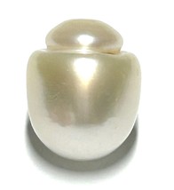 Oval Bottom Round 13.2 x 16.2mm 20.6 Carats Pale Gold Australian South Sea Pearl - £77.68 GBP